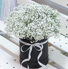 Цветочная композиция из Гипсофила в шляпной коробке в Котельники